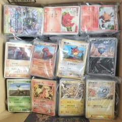 ポケモンカード 約800枚 まとめ売り 引退品 整理品 キラ - メルカリ