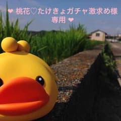 ❤︎桃花♡たけきょガチャ激求め 様 専用❤︎のサムネイル
