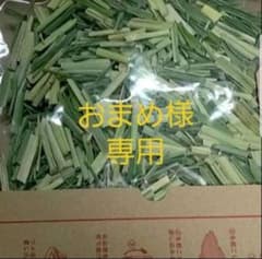マコモダケ葉　おまめ様専用のサムネイル