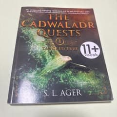 The Cadwaladr Quests 1 Tangled Time 洋書のサムネイル
