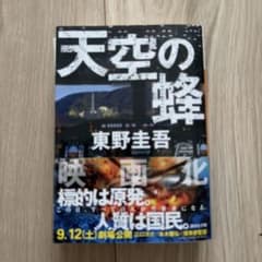 天空の蜂のサムネイル