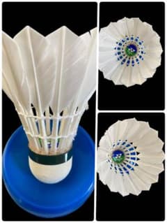 中古シャトル応援セット*エアロセンサ500〜600*6本(ダース)72個以上