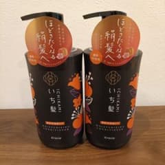 2本セット いち髪 コンディショナー 2022 濃密W保湿ケア 本体/480g