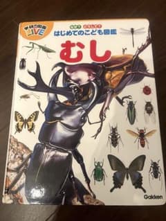 【美品】学研Gakkenの図鑑 「虫」のサムネイル