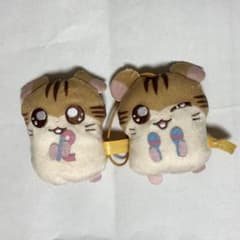 ハム太郎 かぷっこふれんず2 トラハム ガチャガチャのサムネイル
