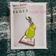 【miiit様専用】SexyZone PAGES 静岡チャームのサムネイル