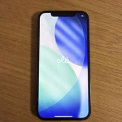 Apple iPhone 12 청색 본체