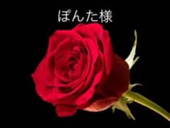 ダブルガーゼ YUWA  タータンチェック　セットのサムネイル
