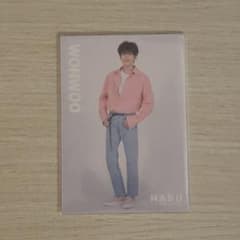 SEVENTEEN セブチ HARU WONWOO トレカ - メルカリ