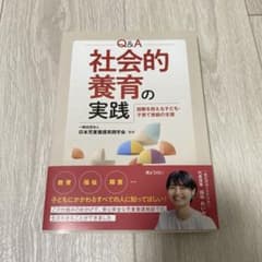 Q&A 社会的養育の実践　困難を抱える子ども、子育て家庭の支援のサムネイル