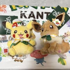 ポケパーク限定 カーニバル花飾りピカチュウ イーブイ キーホルダー 2体セット ポケパーク限定 カーニバル花飾りピカチュウ イーブイ キーホルダー 2
