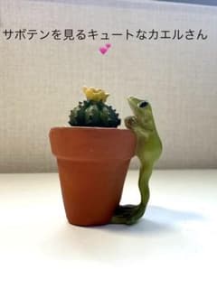 カエルさん置物♡ミニチュアフィギアのサムネイル