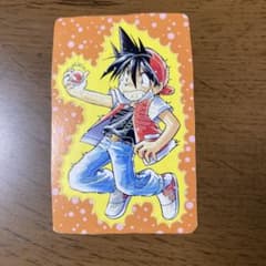 ポケモンスペシャル フラッシュカード レッド ポケットモンスター