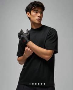 新品未使用　JORDAN GOLF ジョーダン スポーツ　Tシャツ モックネック 新品未使用 JORDAN GOLF ジョーダン スポーツ Tシャツ モック