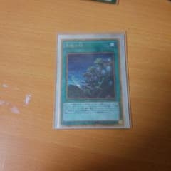 遊戯王 同胞の絆 １枚のサムネイル