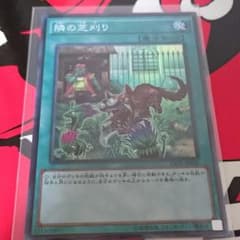 【遊戯王】隣の芝刈り ＆ 妖精伝姫ーシンデレラのサムネイル