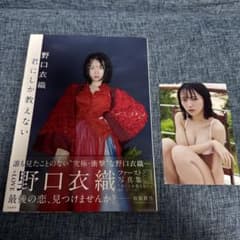 m89062539931_1.jpg?1761571390