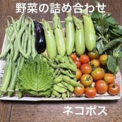 野菜の詰め合わせのサムネイル