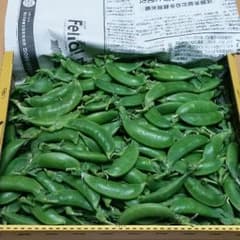 スナップエンドウB品800グラムのサムネイル