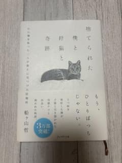 捨てられた僕と母猫と奇跡のサムネイル