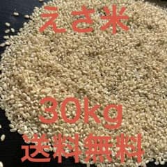 くず米 砕け米 割米 えさ米 鳥エサ 鳥餌 約30キロ - メルカリ