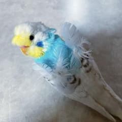 作家さま　梵天セキセイインコのぬいぐるみ　バードフィギュア　アートドール m89081740558_1.jpg?1705150237