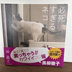 必死すぎるネコのサムネイル