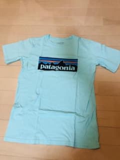 パタゴニア Tシャツのサムネイル