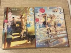 余命一年と宣告された僕が、余命半年の君と出会った話 Ayaka’s storyのサムネイル