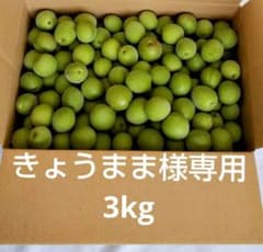 きょうまま 青梅3kg きょうまま様専用 青梅3kg - メルカリ