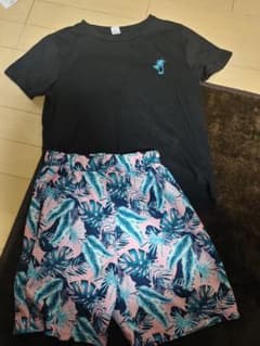 SHEIN パームツリー刺繍 Tシャツと葉柄パンツセットのサムネイル