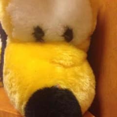 シャネルのサムネイル