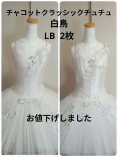 m89094848879_1.jpg?1712466497