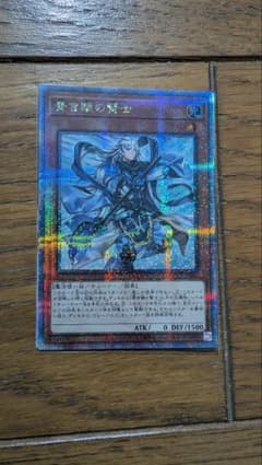 【ルイージ様専用】青き眼の賢士のサムネイル