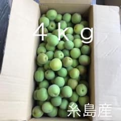 無農薬梅　4kgのサムネイル