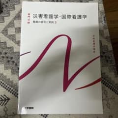 災害看護学・国際看護学 看護の統合と実践3 医学書院のサムネイル