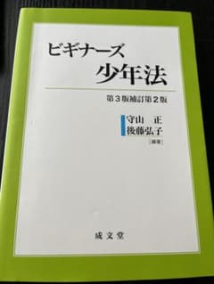 ビギナーズ少年法のサムネイル