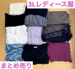 3L  レディース服 まとめ売りのサムネイル