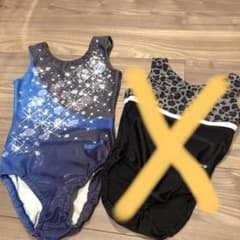 体操　レオタード　ブルースパンコールのサムネイル