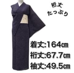 [夏着物]小紋　美品 正絹 駒絽 紫色系 斑点模様 薄物のサムネイル