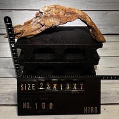 홋카이도산 천연 유목 아쿠아리움 침수 확인 완료 NO.109