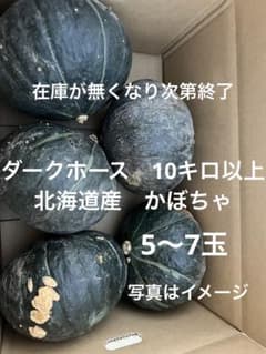 かぼちゃ 箱込み約10キロ以上のサムネイル