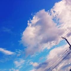 寒じめほうれんそう様専用のサムネイル