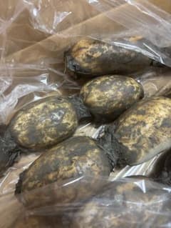 佐賀れんこん泥付き 3kgレンコン 根菜 野菜のサムネイル