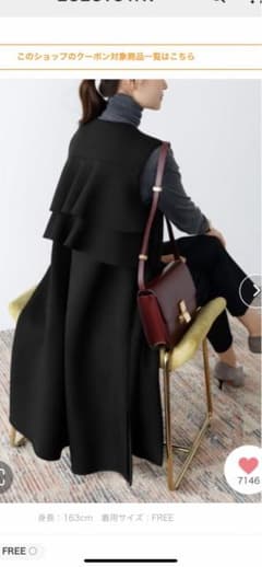 エルフランクロングジレのサムネイル
