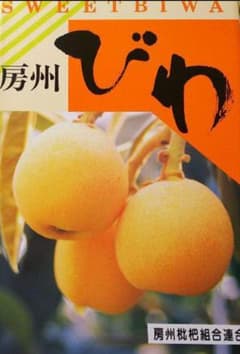 南房総産⭐房州びわ　大粒⭐３Lのサムネイル