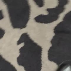 よりさん専用のサムネイル