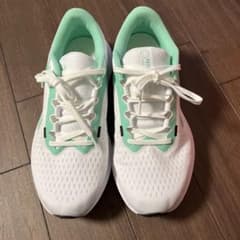 NIKE air winflo 10