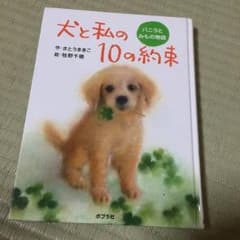 犬と私の10の約束のサムネイル
