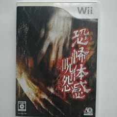 wii 呪怨 恐怖体感のサムネイル